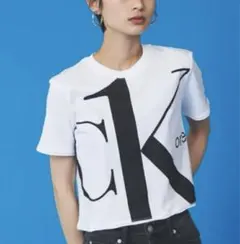 Item thumbnail for item 29e1bda5-4da0-4fce-b7ad-0cac386159a7