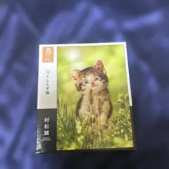 Item thumbnail for item ddfd36d6-63f9-43df-b03c-96532543bed1