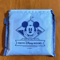 ディズニーリゾート　エコバッグ　ミッキーマウス 貴重品