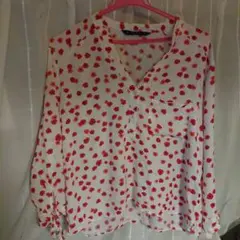 ZARA BASIC 花柄長袖ブラウス