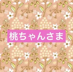 桃ちゃんさま専用☆。.:＊・゜