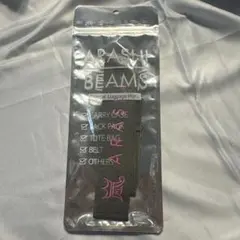 嵐展覧会　ラゲージマーク (緑)