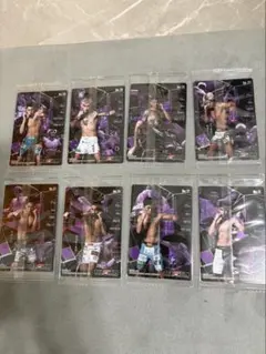 RIZINウエハース　サイン入りカード 8枚セット