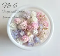 No.6 カワラハハコ　オリジナルカラー