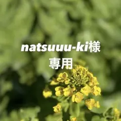 【natsuuu-ki様専用】お野菜セット