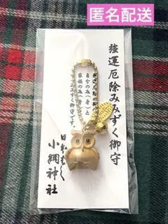 Item thumbnail for item 4c727ca3-f57a-4e7b-9597-30c14ca7ff76