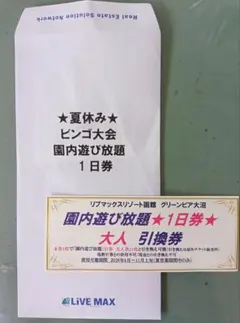 お値下げしました！フリーパス！リブマックスリゾート函館園内 遊び放題一日券