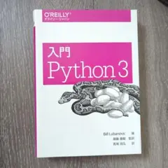 python IT