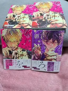 歌わせろ、お前を 上・下巻　モーラベちさ