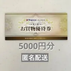 ヤマダデンキ お買物優待券 5000円分（10枚）