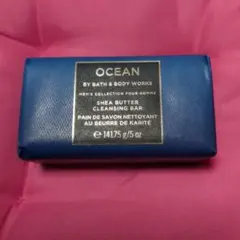 Item thumbnail for item e5fc3a86-a84b-41cf-a983-decfc4eee5b2