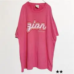 ★COMFORTWASH【XL】半袖Tシャツ クルーネック プリント ピンク 綿
