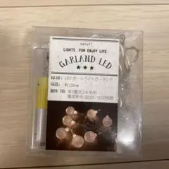 【未使用】salut! LEDボールライトガーランド　ストリングライト 結婚式