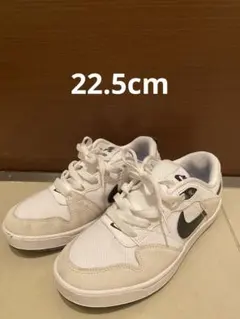 NIKE SB ALLEYOOP スニーカー ホワイトのサムネイル