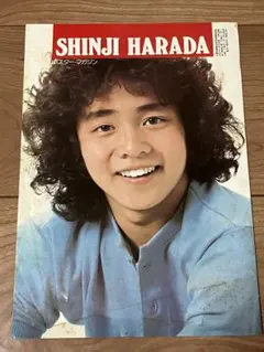 希少】たむらしげる スターヘッド STAR HEAD - メルカリ