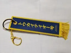 タイトーくじ 優勝レイ風フライトタグ トウカイテイオー号