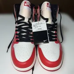 海*ン様 エアジョーダン1レトロ　ハイ　スパイダー