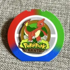 ポケパークカントー ピンズ ピンバッジ リザードン 5種セット 新品未使用 ポケパーク カントー ピンズ リザード No.0005 - メルカリ