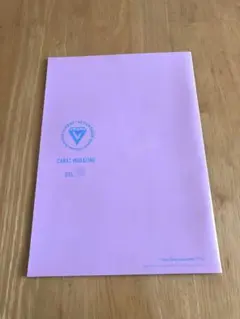 SEVENTEEN セブチ　ファンクラブ　carat 会報誌　vol.10