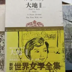 専用です！パールバック　大地Ⅱ