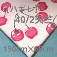 【ハギレ】ビシェット 40/2天竺 さくらんぼ 　150✕60cm