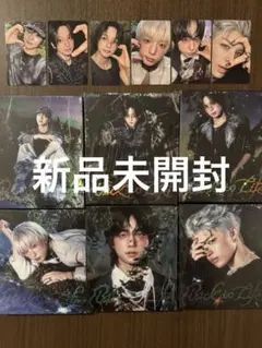 &TEAM Back to Life ソロジャケ 6枚セット 特典トレカ付き