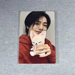 stray kids スキズ　アイエン フォクシニー　9点セット アイエン STRAYKIDS ストレイキッズ スキズ フォトセット L版 写真 10
