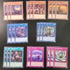 遊戯王OCG【ライカ】デッキパーツ デュエルモンスターズ