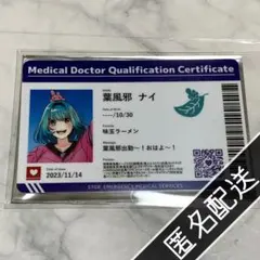 ストグラ救急隊 PUS 特典免許証風カード 鳥野ぎん 切間てつお 吉田ユッカ ストグラ救急隊PUS 購入者特典カード 雷堂ましろ 免許証風カード