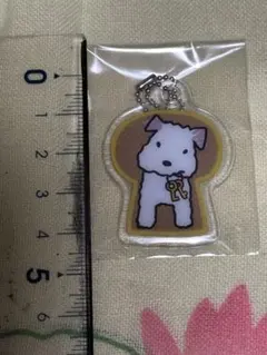 アランジアロンゾ ミニキーホルダーラッキーアイテム てつ