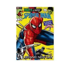 Happyくじ スパイダーマン ブランドニューデイ G賞 ポスター - メルカリ
