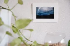 Item thumbnail for item 63737d65-34b4-44fd-a99a-575743c4283c