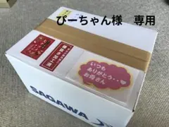 ぴーちゃん様　専用