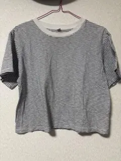 ユニクロボーダー柄 クロップド丈 半袖Tシャツ