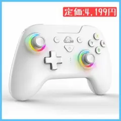 Switch コントローラー 自動連射機能 背面ボタン付き マクロ機能 ホワイト