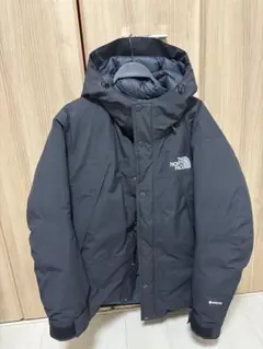 THE NORTH FACE ザ・ノースフェイス マウンテンダウンジャケット