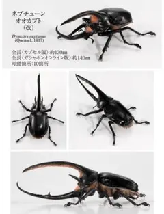 ネプチューンオオカブト いきもの大図鑑 かぶとむし