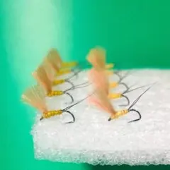 Item thumbnail for item ee1f4c86-f83a-4344-8e8b-038f654e3d83