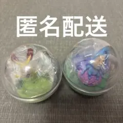 こびとづかん　カプリウムコレクション　ホトケアカバネ　アメボウシ　セット