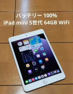 最終価格　バッテリー100% 【iPad mini 5世代 64GB WiFi】
