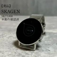 スカーゲン SKAGEN 腕時計 スマートウォッチ Google SKT5300
