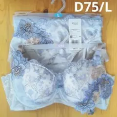 Wing Lesiage 後ろ姿きれいブラ ブラ＆ショーツ SX D75/Lのサムネイル