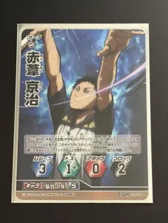 バボカ　木兎　赤葦　頂P SP パラレル　2枚セット バボカ 木兎 赤葦 頂P SP パラレル 2枚セット - メルカリ