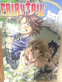 非売品】FAIRYTAILブックカバー 月刊フェアリーテイルマガジン - メルカリ