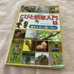こびと観察入門 カブト タケノ ノミビョウタン編 DVD - メルカリ