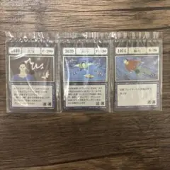 小*祭様 HUNTER×HUNTER カードセット　アカンパニーetc… HUNTER×HUNTER カードセット アカンパニーetc… - メルカリ