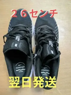 ナイキランDEFY 　ランニングシューズ　２６センチ