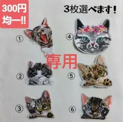 Item thumbnail for item 84c49a55-e4ce-4630-b402-843c8457ba0f