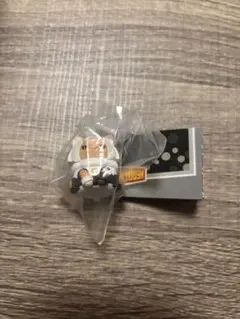 ヒロアカニャンコ　ミルコ