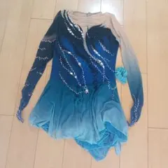 フィギュアスケート